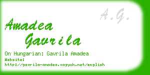 amadea gavrila business card